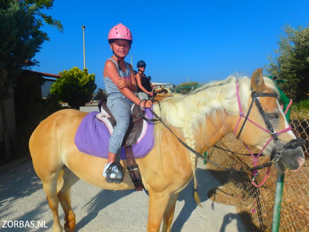 stok Lodge Groet Paardrijden op Kreta Griekenland